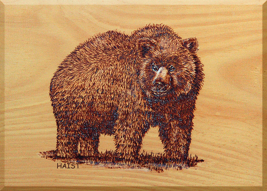 Grizzly 3 Pyrography by Ron Haist