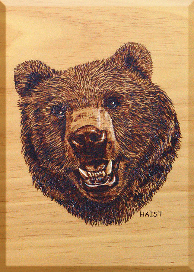 Grizzly 5 Pyrography by Ron Haist
