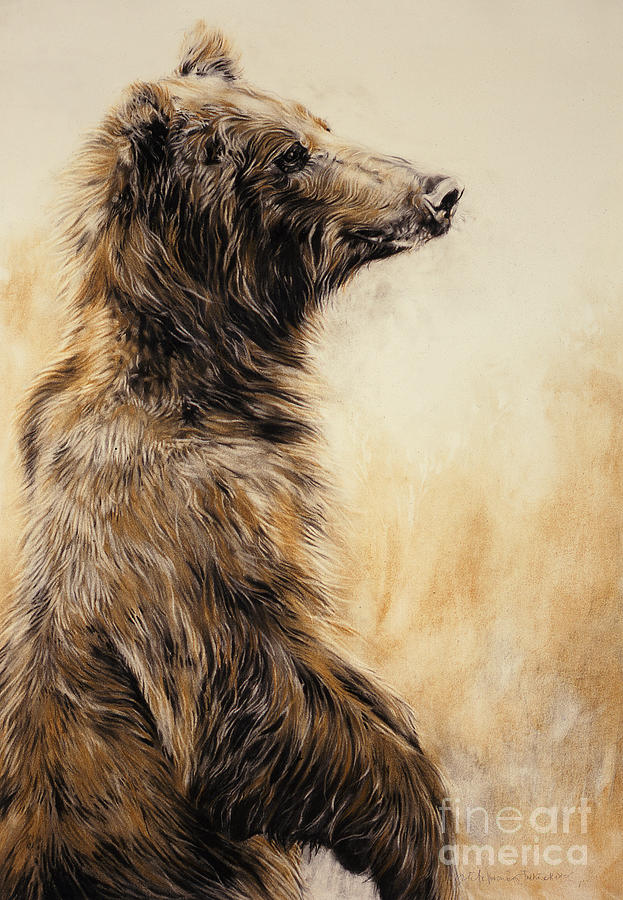 Bear Painting - Grizzly Bear 2 by Odile Kidd