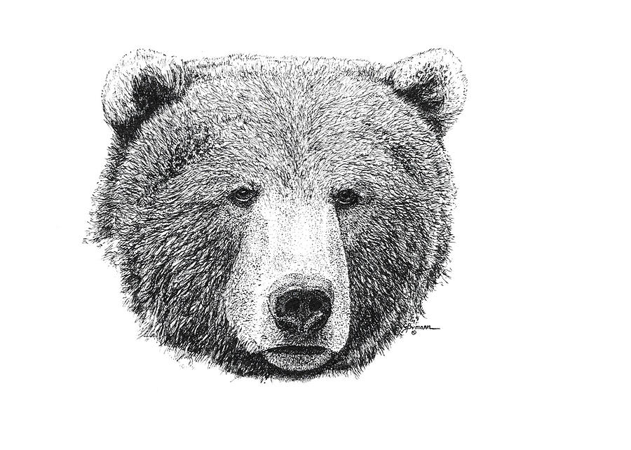 Grizzly Bear Drawing by George Bumann