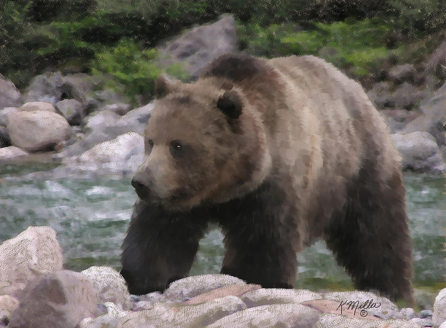 Grizzly Bear Pastel by Kathie Miller