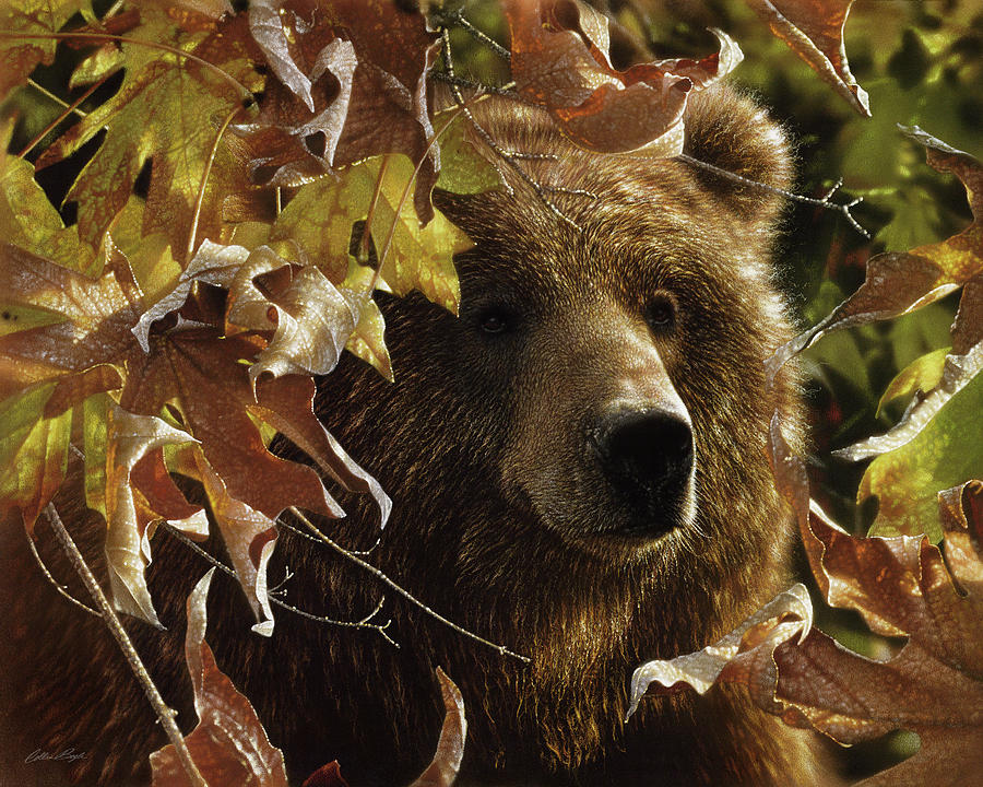 Grizzly Bear - Legend of the Fall Painting by Collin Bogle