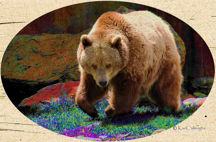 Grizzly Bear with Enhanced Background Photograph by Kae Cheatham