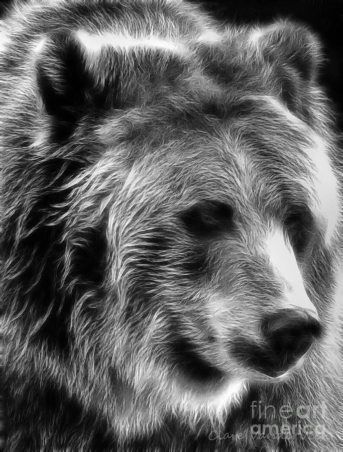 Grizzly Photograph by Clare VanderVeen