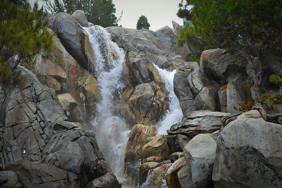 Grizzly Falls Photograph by Michael Bergman