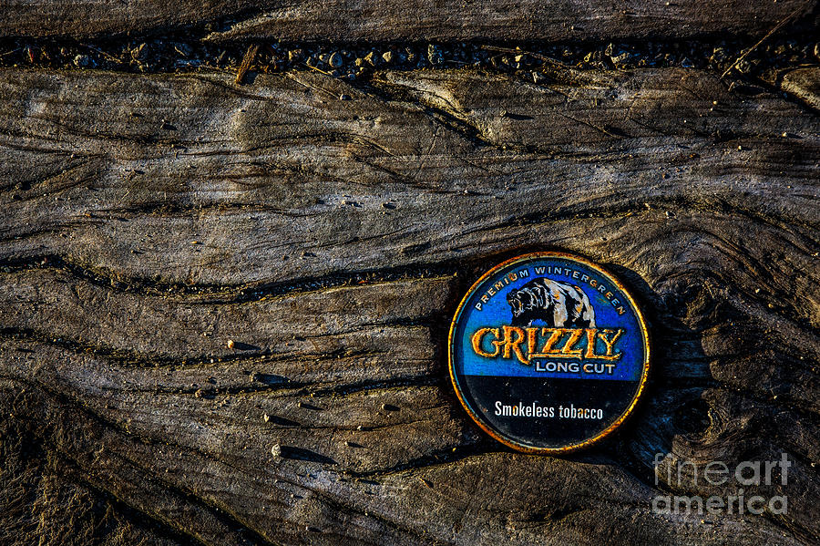 Grizzly Photograph by Michael Arend