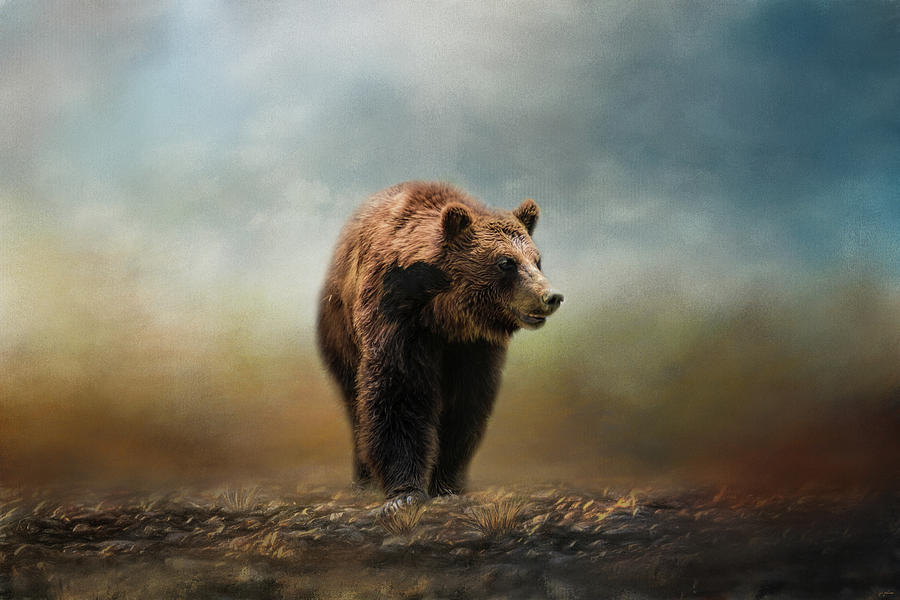 Grizzly On The Rocks Bear Art Photograph by Jai Johnson
