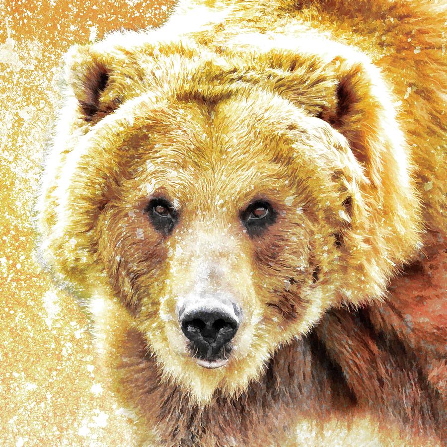 Bear Photograph - Grizzly Paint by Steve McKinzie