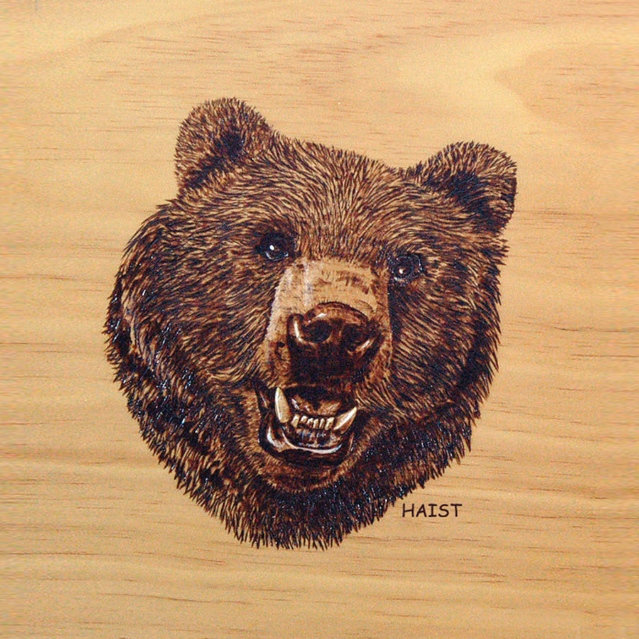 Grizzly Pillow/bag Pyrography by Ron Haist