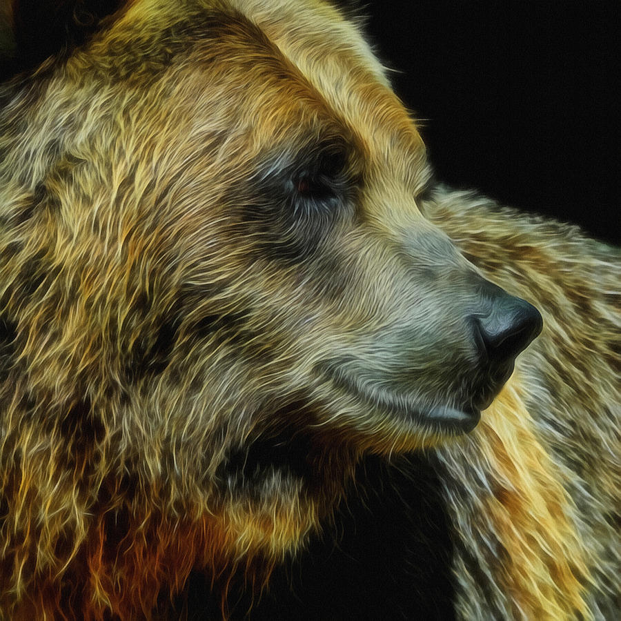 Animal Digital Art - Grizzly Profile by Ernest Echols