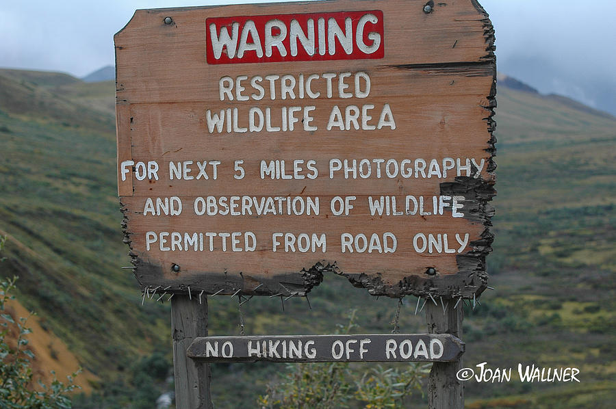 Grizzly Sign Photograph by Joan Wallner