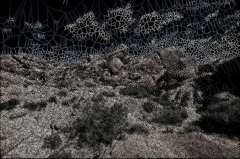 Groovy Desert Digital Art by Stephane Poirier