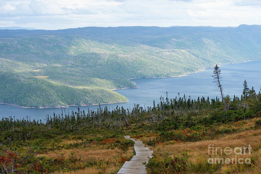 Fall Photograph - Gros Morne view from Partridgeberry Hill by Les Palenik