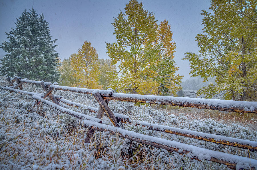 Fall Photograph - Gros Ventre Grand Teton Fall Snowfall Fence by Scott McGuire