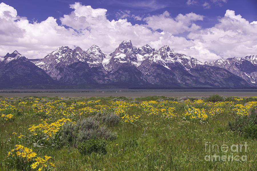 Gros Ventre - Grand Tetons Photograph by Louise Magno