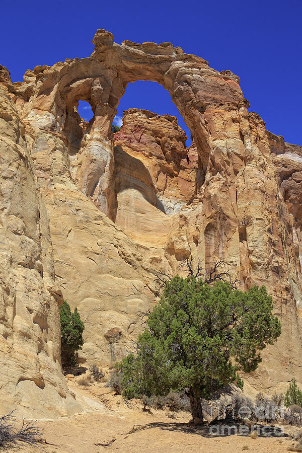 Las Vegas Photograph - Grosvenor Arch Utah by Edward Fielding