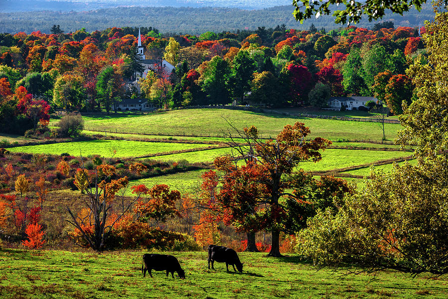 Groton Ma Gibbet Hill Photograph By Larry Richardson Pixels