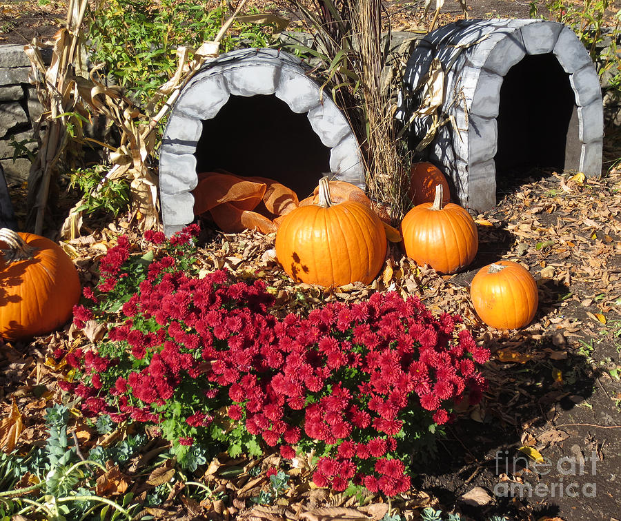 Halloween Photograph - Grottes dHalloween / Halloween Grottos by Dominique Fortier