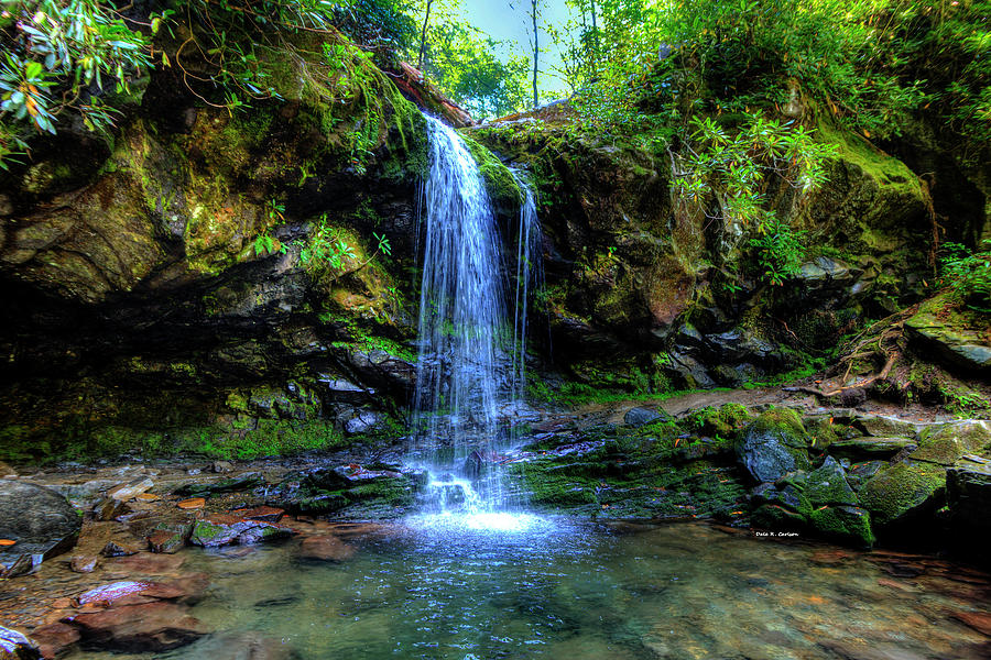 Grotto Falls Photograph by Dale R Carlson