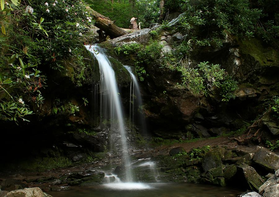 Grotto Falls II Photograph by Carol Montoya