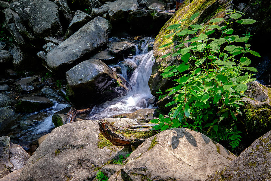 Grotto Falls Photograph by Kevin Kanarski - Fine Art America