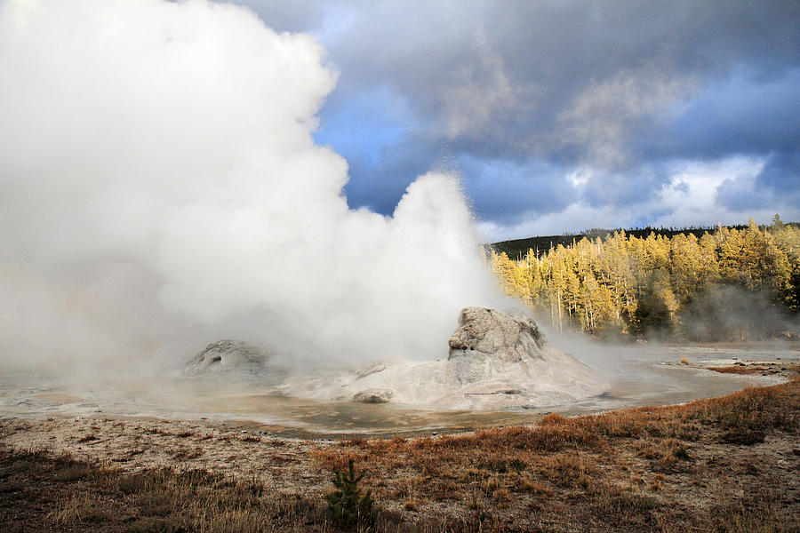 Grotto Geyser Yellowstone Photograph by Pierre Leclerc Photography