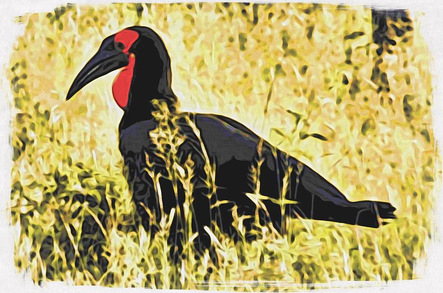 Ground Hornbill Photograph by Gini Moore