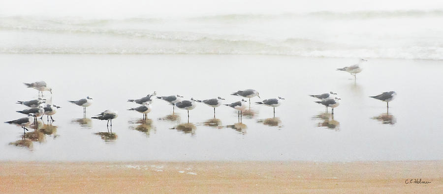 Grounded By Fog Photograph by Christopher Holmes