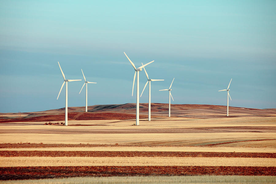 Group of Turbines Photograph by Todd Klassy