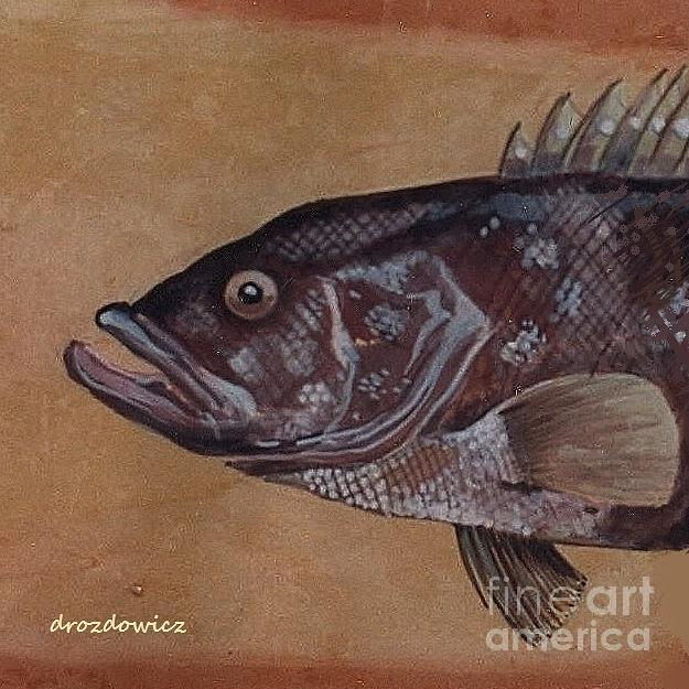 Grouper Painting by Andrew Drozdowicz