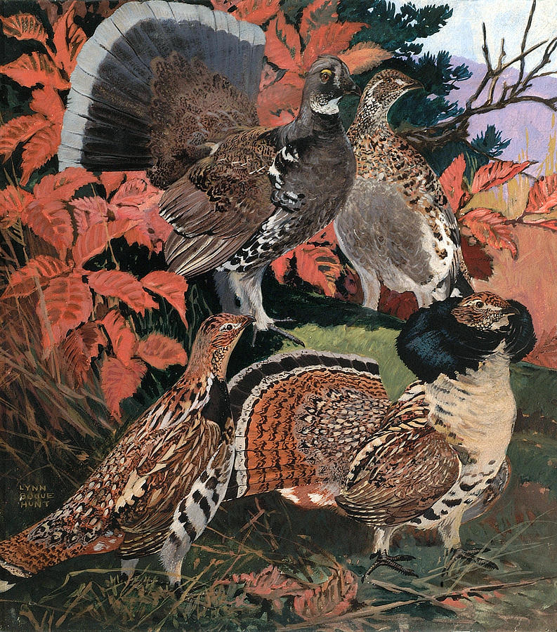 Grouse Painting by Lynn Bogue Hunt