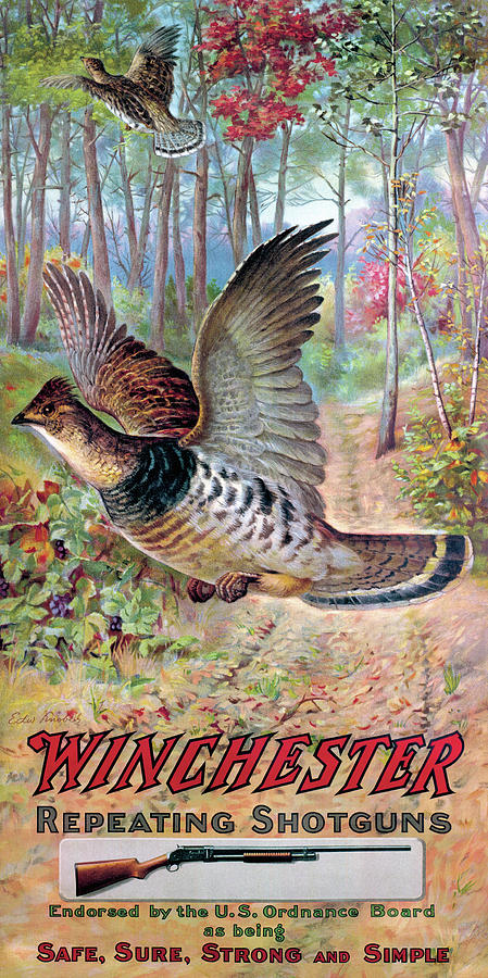 Grouse On The Wing Painting by Edw Knobel