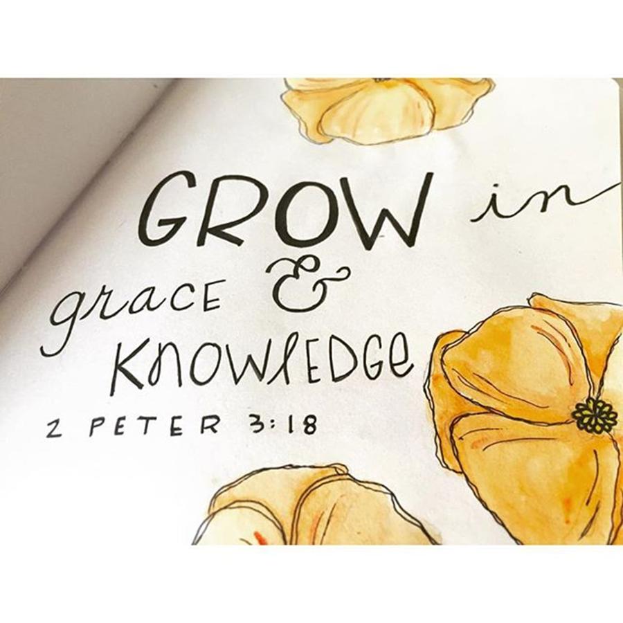 Typography Photograph - Grow In Grace And Knowledge by Nancy Ingersoll