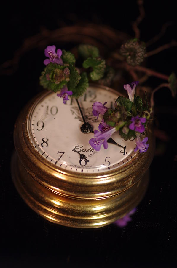 Growing Clock Photograph by Gerald Kloss