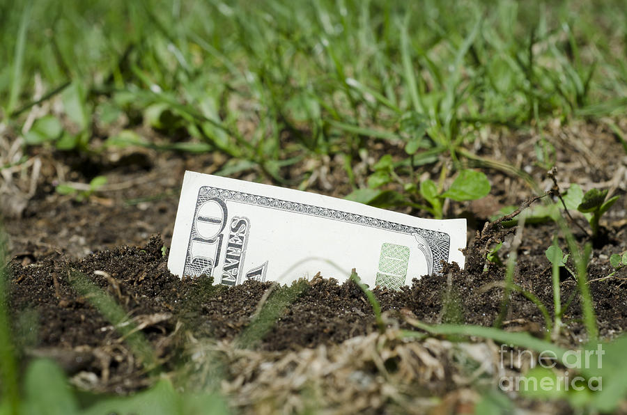 Growing money Photograph by Mats Silvan