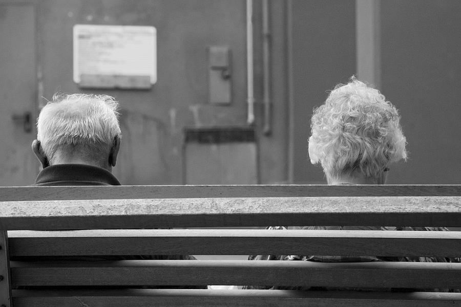 Growing old together Photograph by Ian Middleton