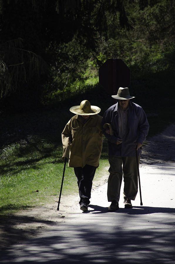 Growing Old Together  Photograph by Mary Hahn Ward