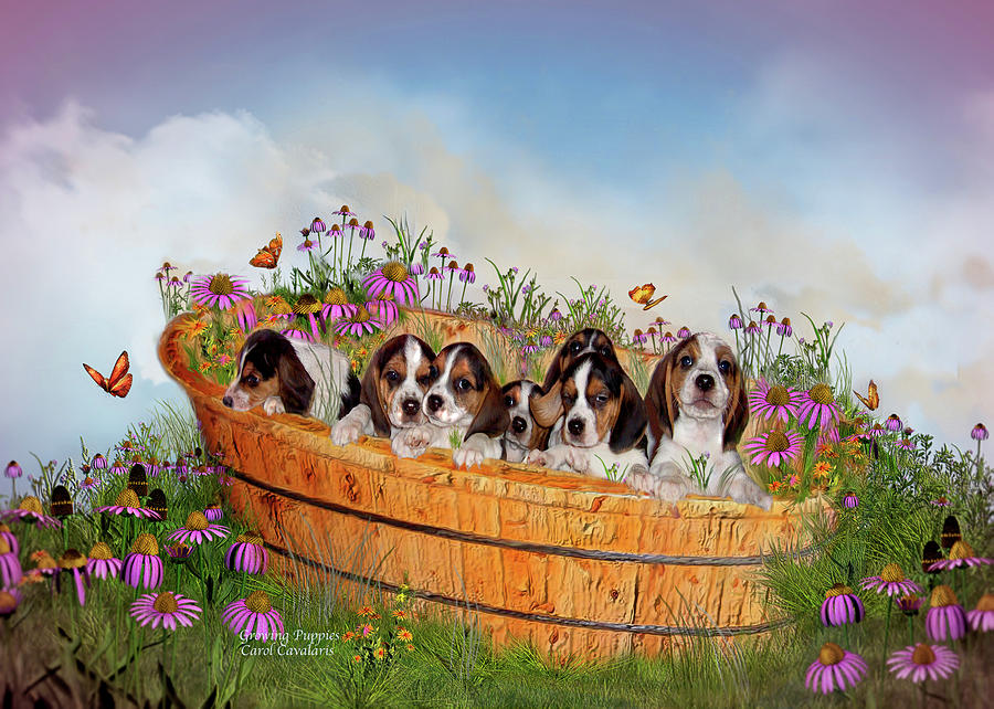 Flower Mixed Media - Growing Puppies by Carol Cavalaris
