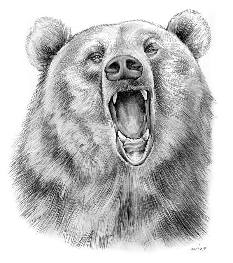 Growling Bear Drawing by Greg Joens