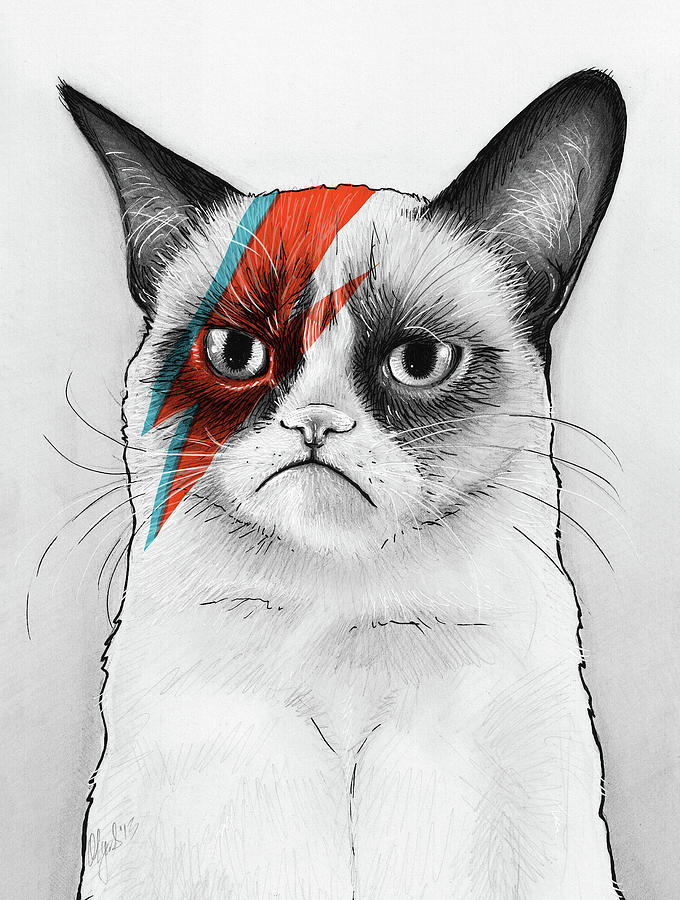 Grumpy Cat as David Bowie Drawing by Olga Shvartsur