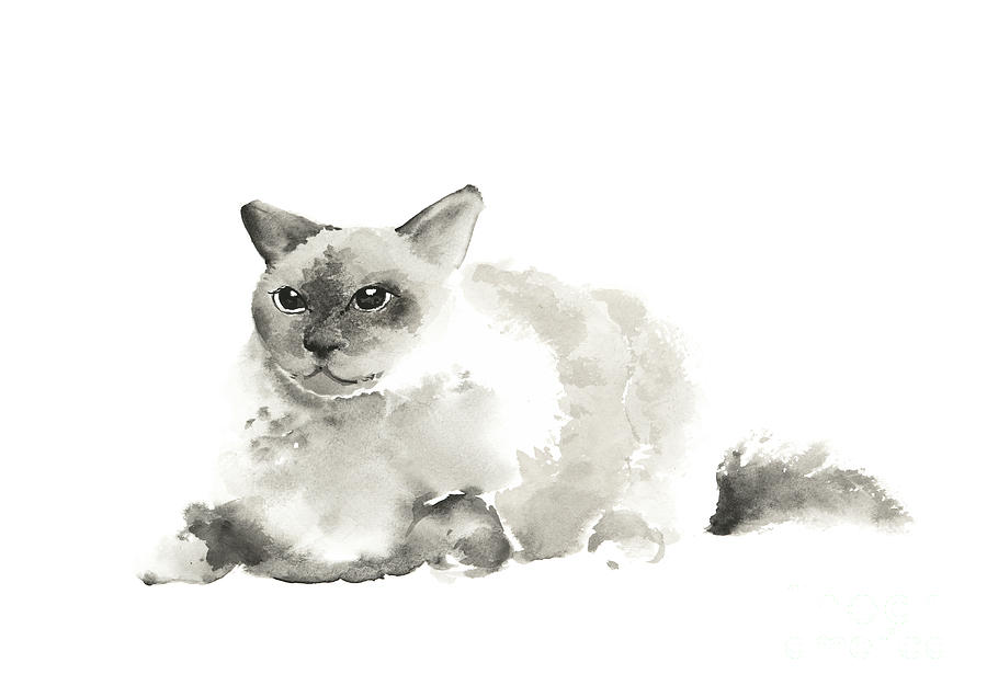Grumpy Cat Painting Abstract Watercolor Art Print