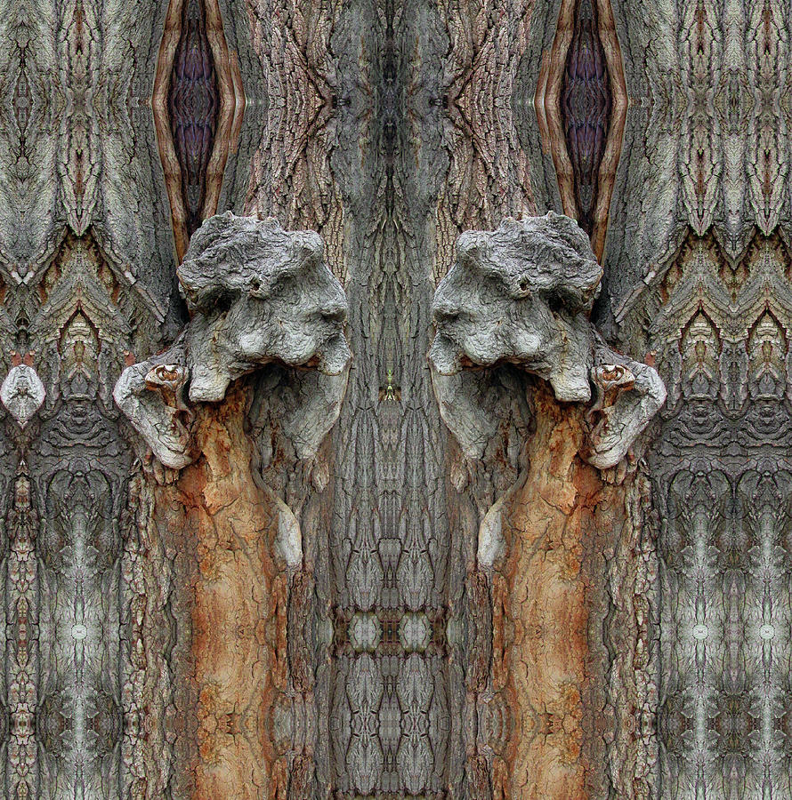 Grumpy Old Men On A Cottonwood Digital Art by Julia L Wright