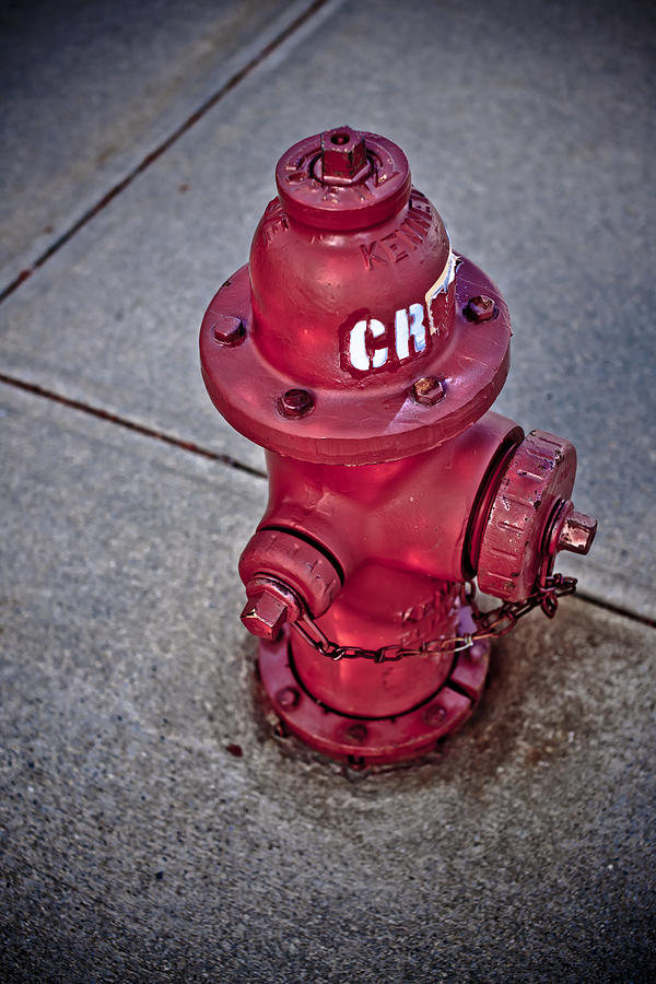 Grunge Fire Hydrant Photograph by Edward Myers