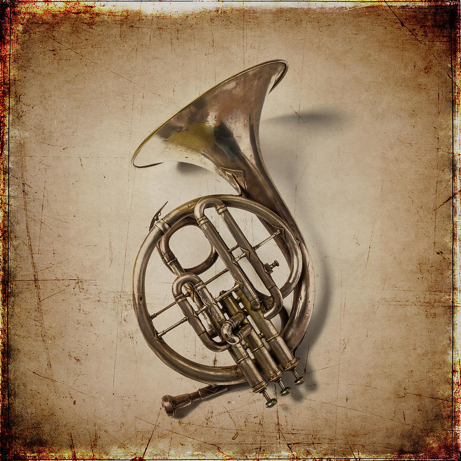 Music Photograph - Grunge French Horn by Garry Gay