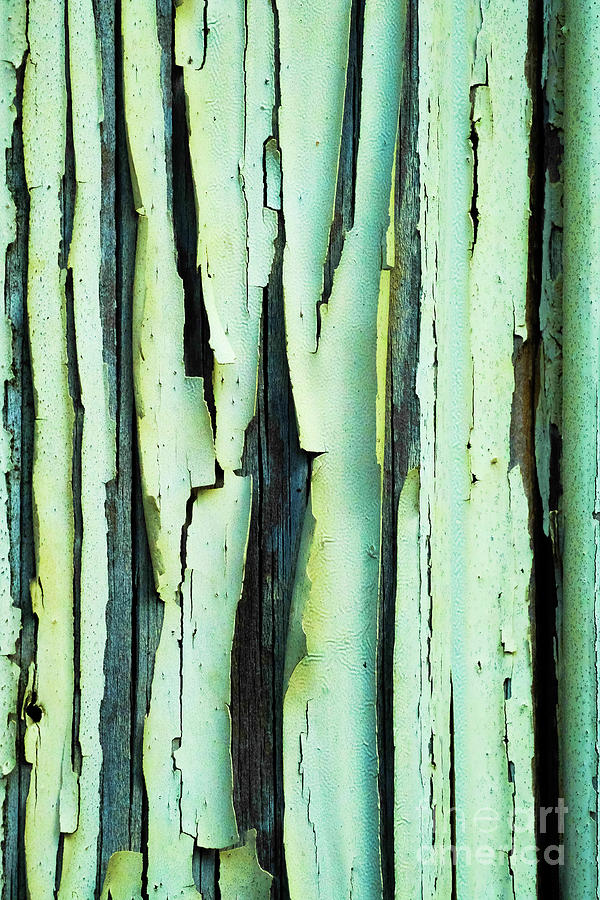 Grunge wood texture Photograph by Mimmi Tverin - Fine Art America