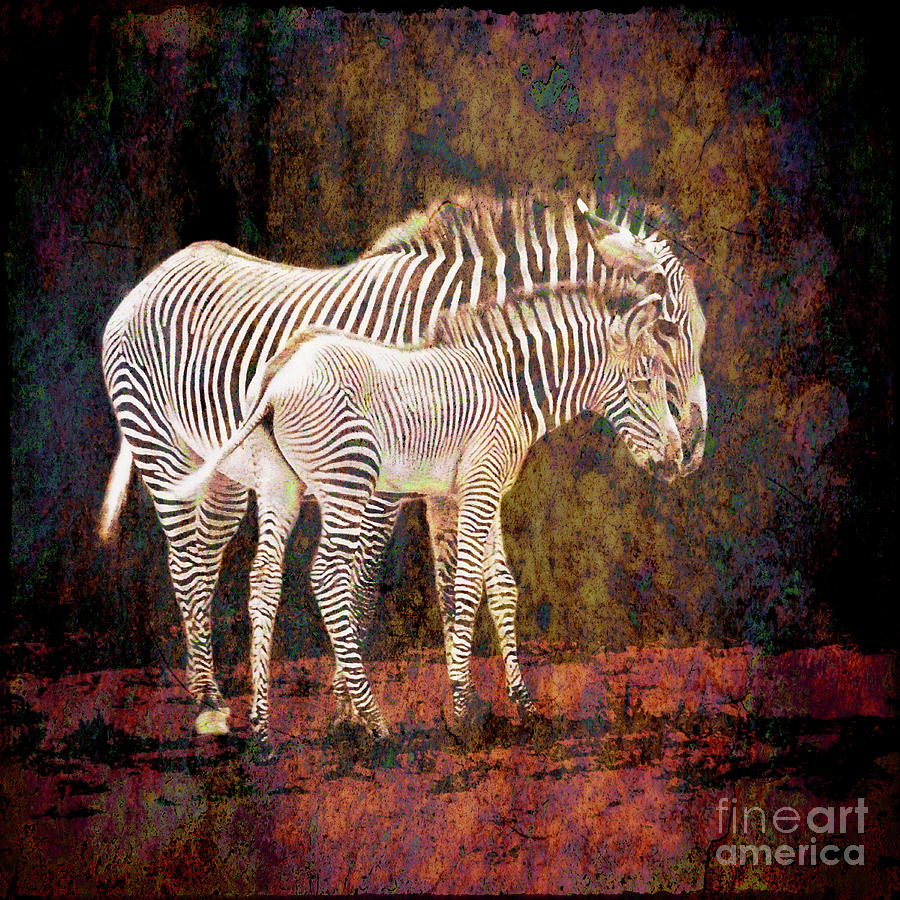 Grunge Zebras Photograph by Sari Sauls
