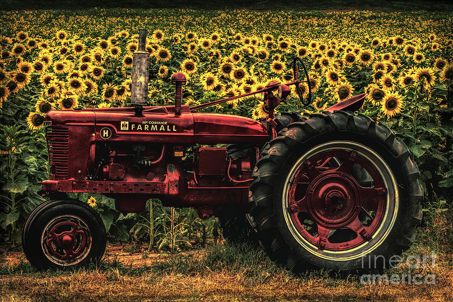 Grunged Red Farmall Tractor  Digital Art by Barbara Bowen