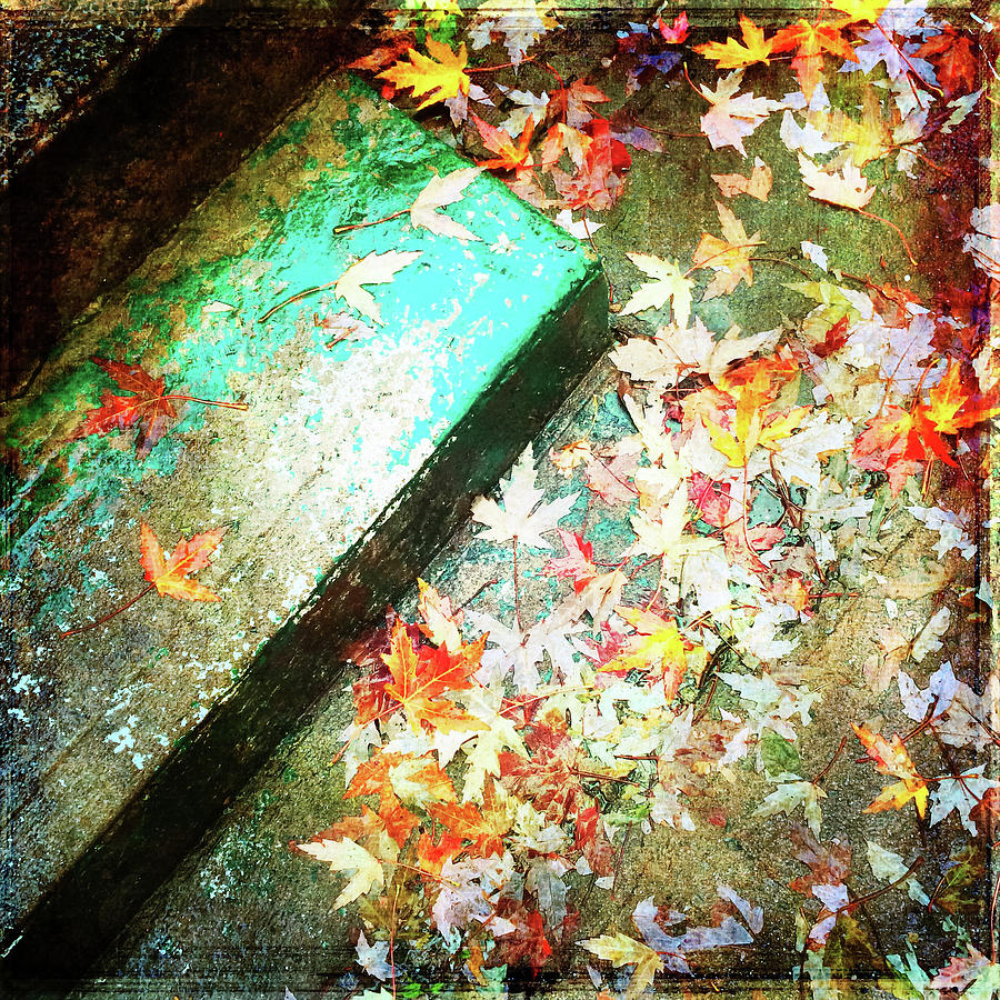 Fall Photograph - Grungy background with autumn leaves by GoodMood Art