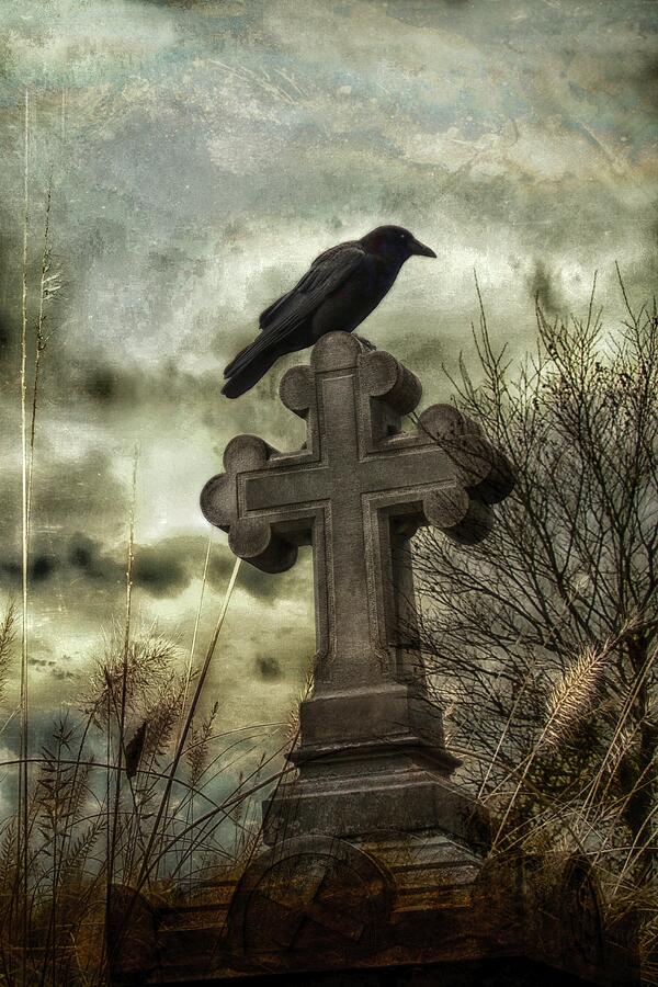 Grungy Crow On Cross At Sunset Photograph by Gothicrow Images