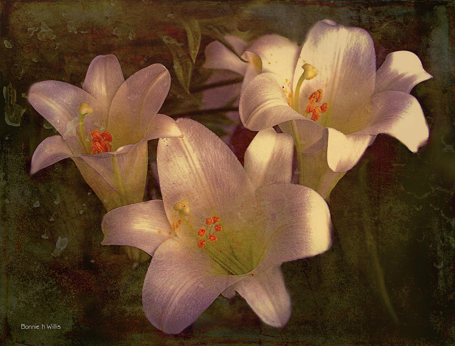 Grungy Easter Lilies Digital Art by Bonnie Willis